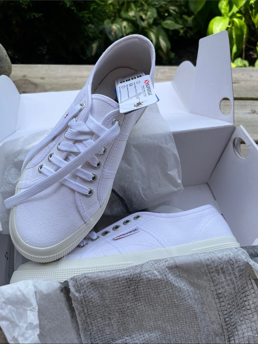 Superga White Low-Top Canvas Sneakers